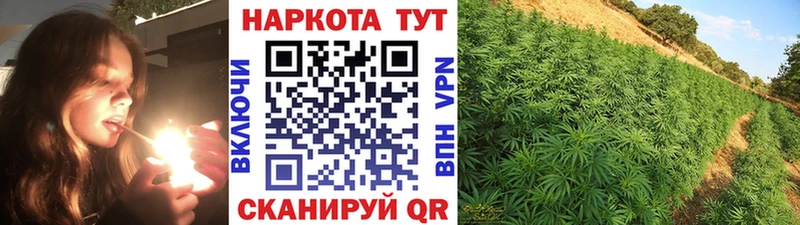 Названия наркотиков Волчанск Галлюциногенные грибы  Бошки Шишки  МЕФ  Гашиш  Альфа ПВП 