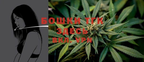 мдпв Волоколамск
