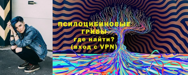 прущие грибы Волосово