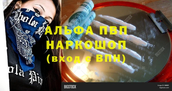 прущие грибы Волосово