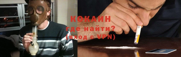 прущие грибы Волосово