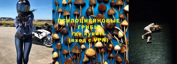 мдпв Волоколамск
