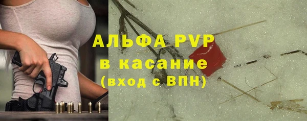 прущие грибы Волосово
