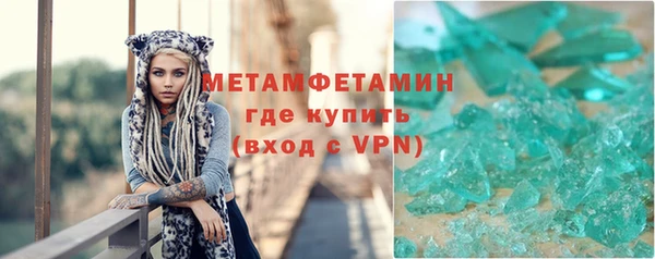 прущие грибы Волосово